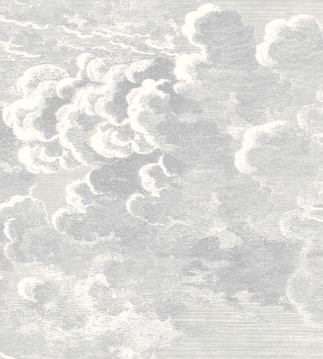 Nuvolette Wallpaper by Cole & Son Soot and Snow