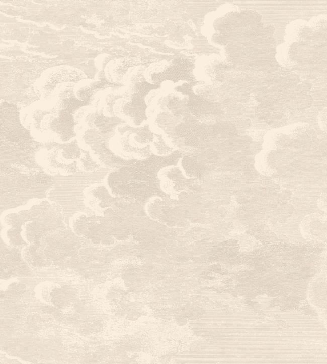 Nuvolette Wallpaper by Cole & Son Stone