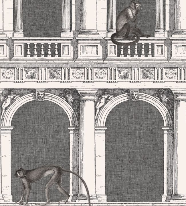 Procuratie E Scimmie Wallpaper by Cole & Son Black and White