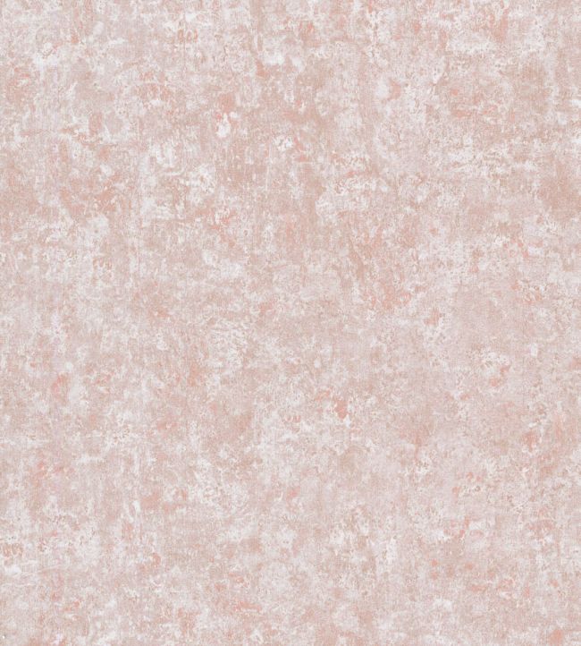 Salvage Wallpaper by Cole & Son 50