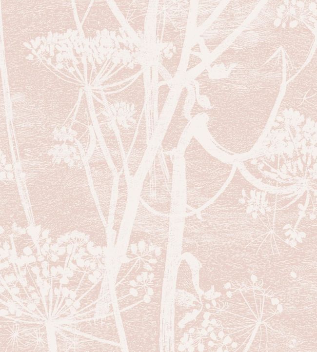 Cow Parsley Wallpaper by Cole & Son Pink