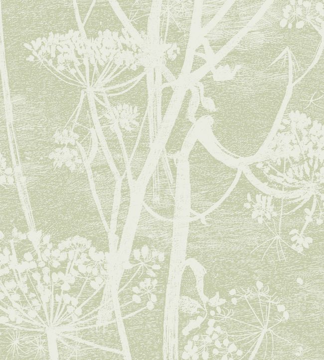 Cow Parsley Wallpaper by Cole & Son Green