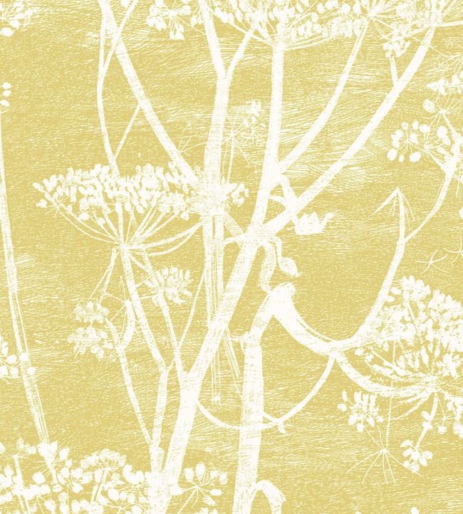 Cow Parsley Fabric by Cole & Son White & Chartreuse