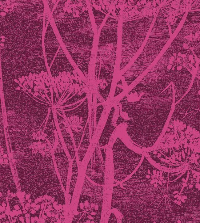 Cow Parsley Velvet Fabric by Cole & Son Magenta & Plum