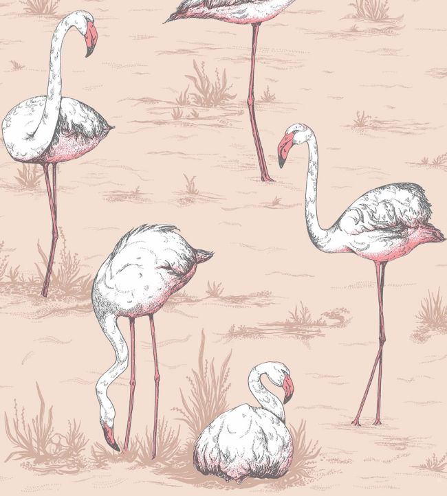 Flamingos Wallpaper by Cole & Son 11039