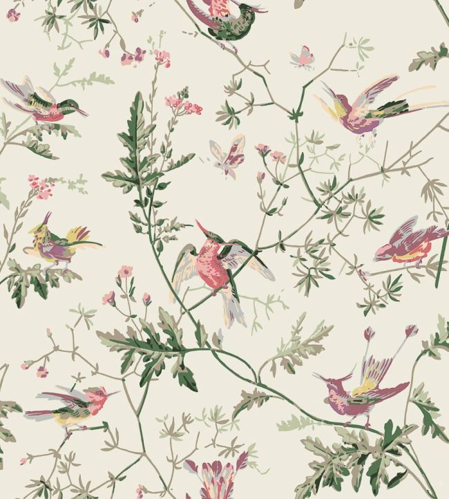 Hummingbirds Fabric by Cole & Son Classic Multi & Old Olive