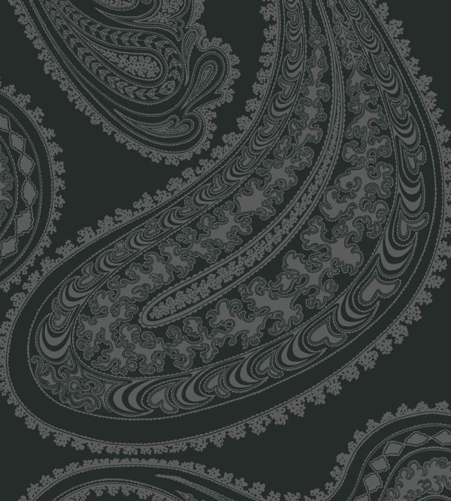 Rajapur Velvet Fabric by Cole & Son Charcoal