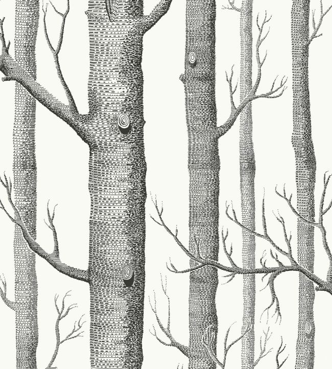 Woods Fabric by Cole & Son Soot/Snow
