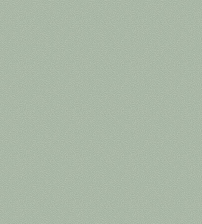 Coral Wallpaper by Cole & Son 5066