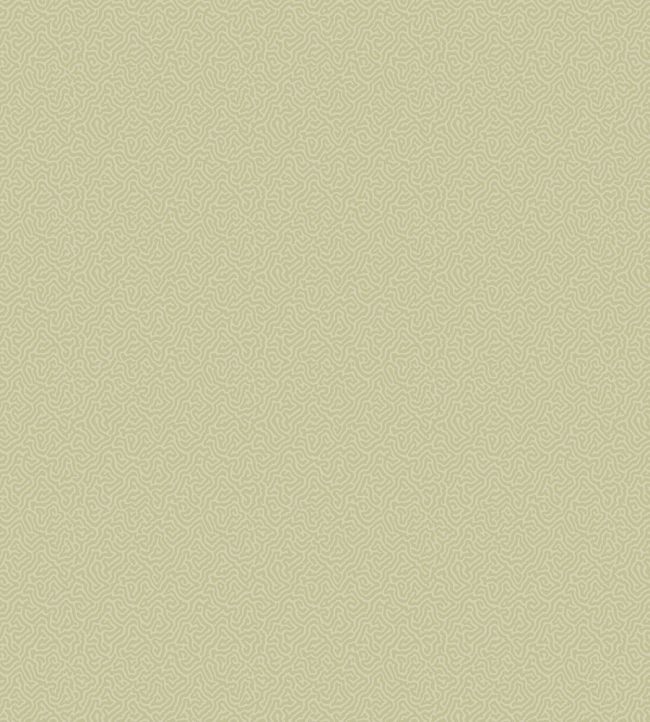Coral Wallpaper by Cole & Son 5067