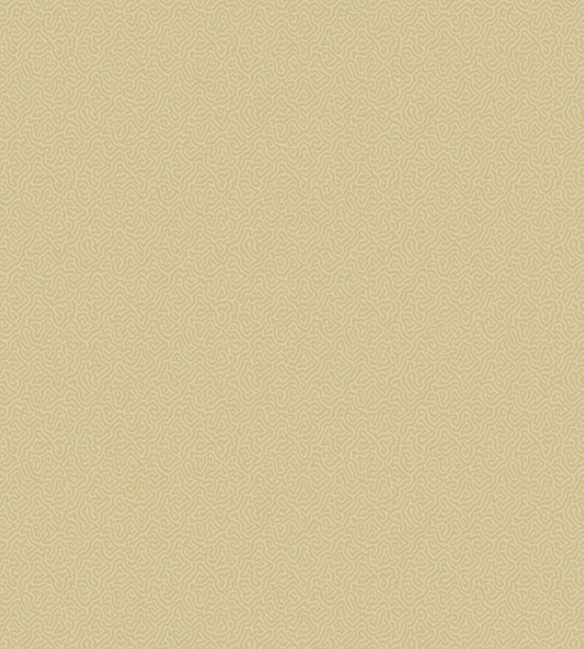 Coral Wallpaper by Cole & Son 5069