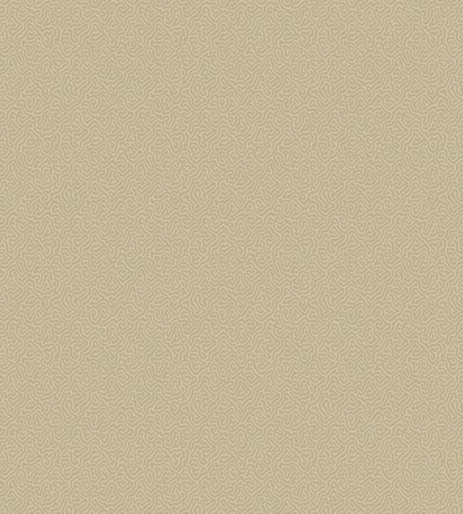 Coral Wallpaper by Cole & Son 5070