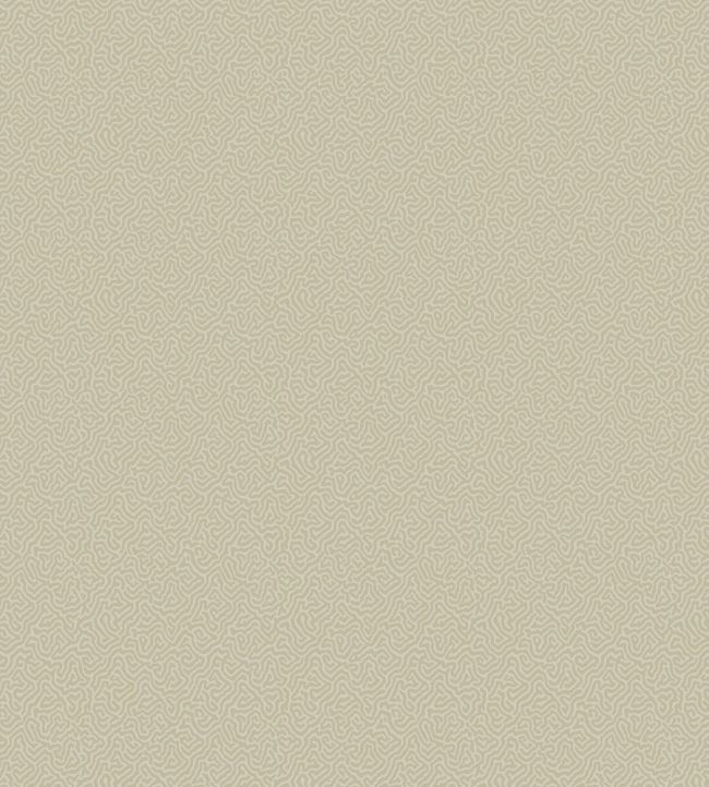 Coral Wallpaper by Cole & Son 5072