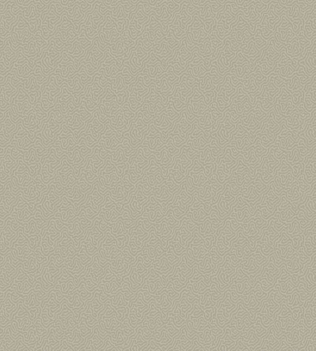 Coral Wallpaper by Cole & Son 5073