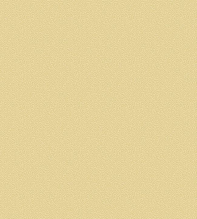 Coral Wallpaper by Cole & Son 5074