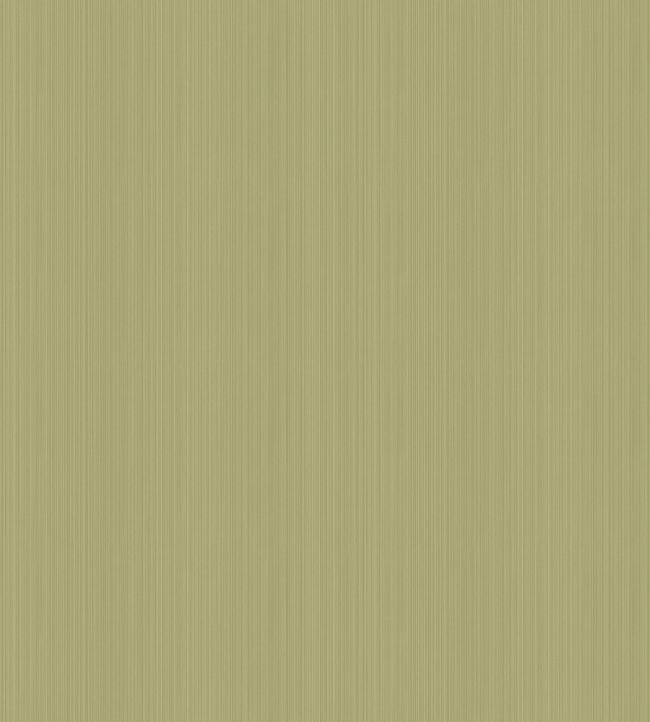 Jaspe Wallpaper by Cole & Son 3031