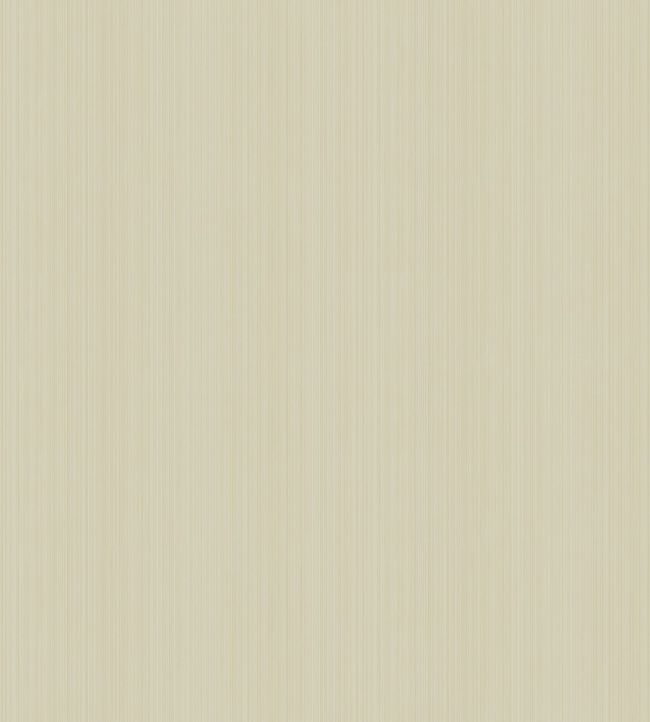 Jaspe Wallpaper by Cole & Son 3042
