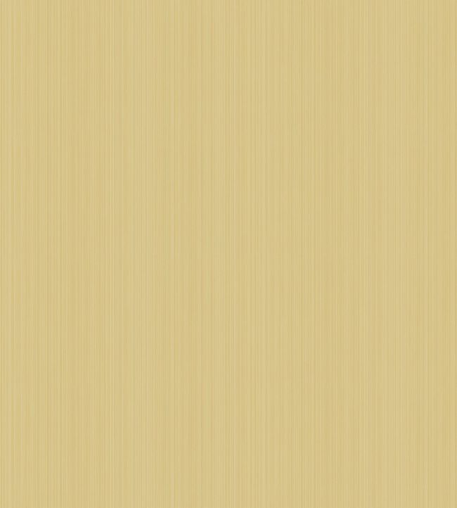 Jaspe Wallpaper by Cole & Son 3043