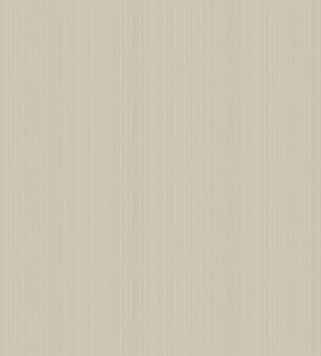 Jaspe Wallpaper by Cole & Son 3048