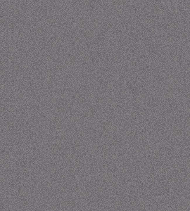 Pebble Wallpaper by Cole & Son 2015