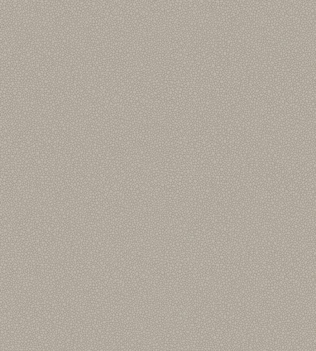 Pebble Wallpaper by Cole & Son 2016