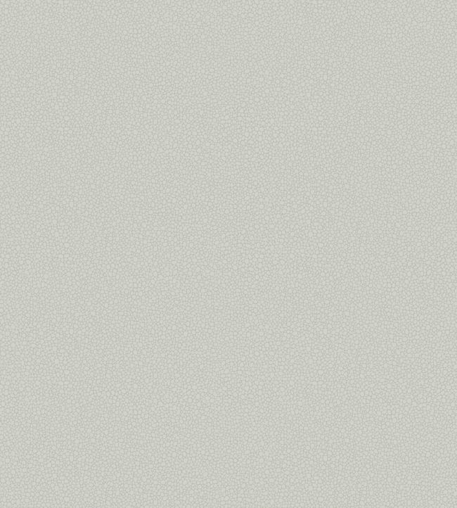 Pebble Wallpaper by Cole & Son 2017