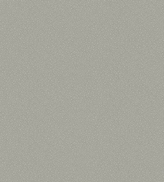 Pebble Wallpaper by Cole & Son 2018