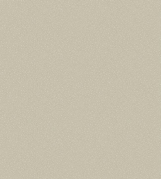 Pebble Wallpaper by Cole & Son 2019