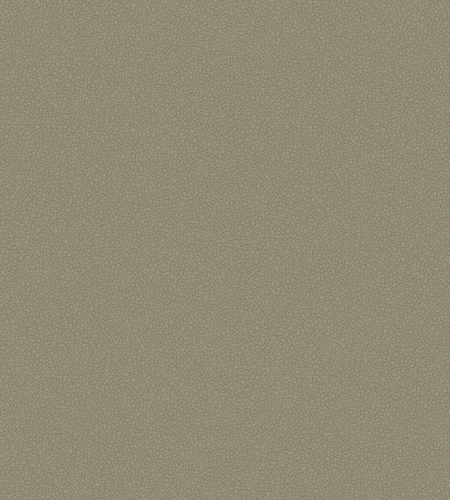 Pebble Wallpaper by Cole & Son 2020