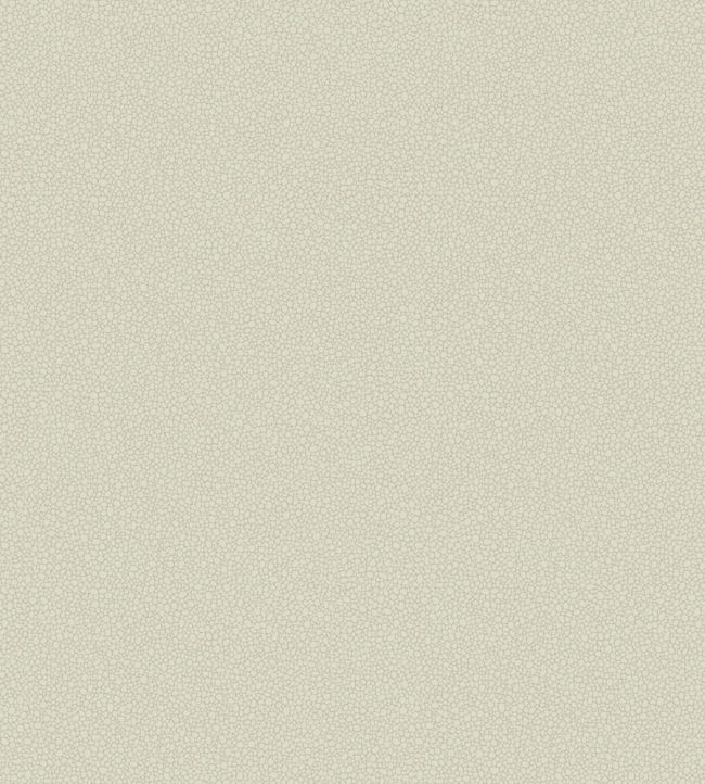Pebble Wallpaper by Cole & Son 2021
