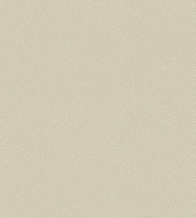 Pebble Wallpaper by Cole & Son 2022
