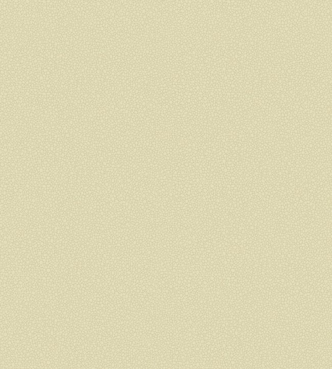 Pebble Wallpaper by Cole & Son 2023