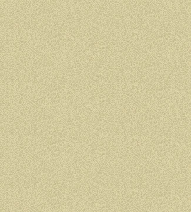 Pebble Wallpaper by Cole & Son 2024