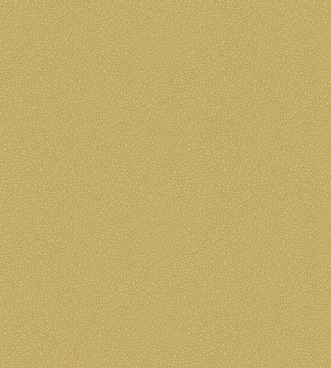 Pebble Wallpaper by Cole & Son 2025