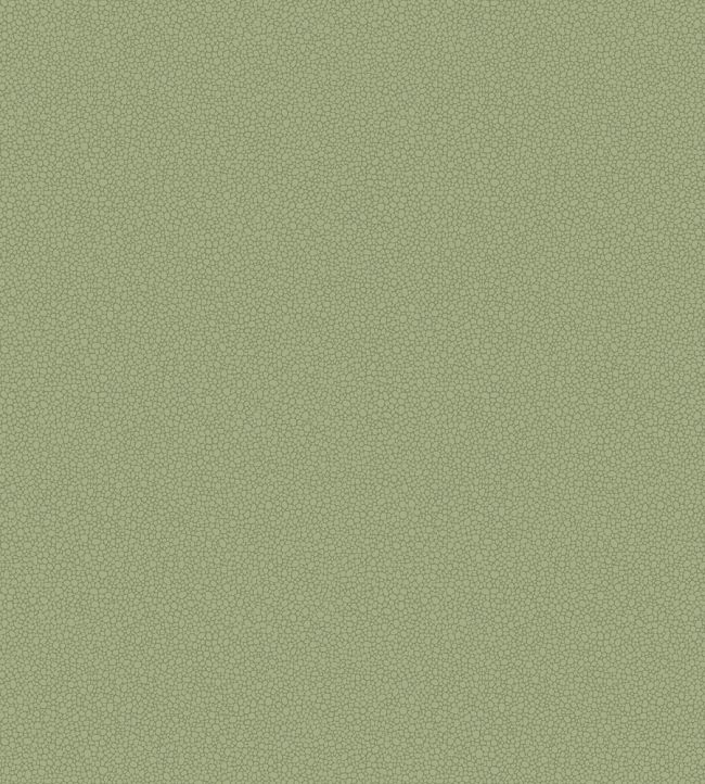 Pebble Wallpaper by Cole & Son 2026