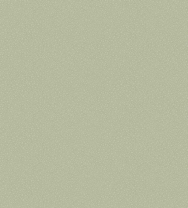 Pebble Wallpaper by Cole & Son 2027