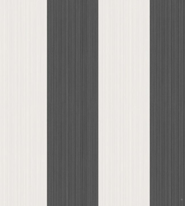Jaspe Stripe Wallpaper by Cole & Son Black/White