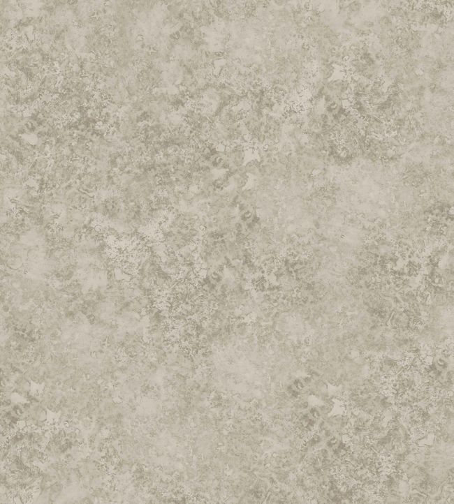 Patina Haze Wallpaper by Cole & Son Warm Gilver