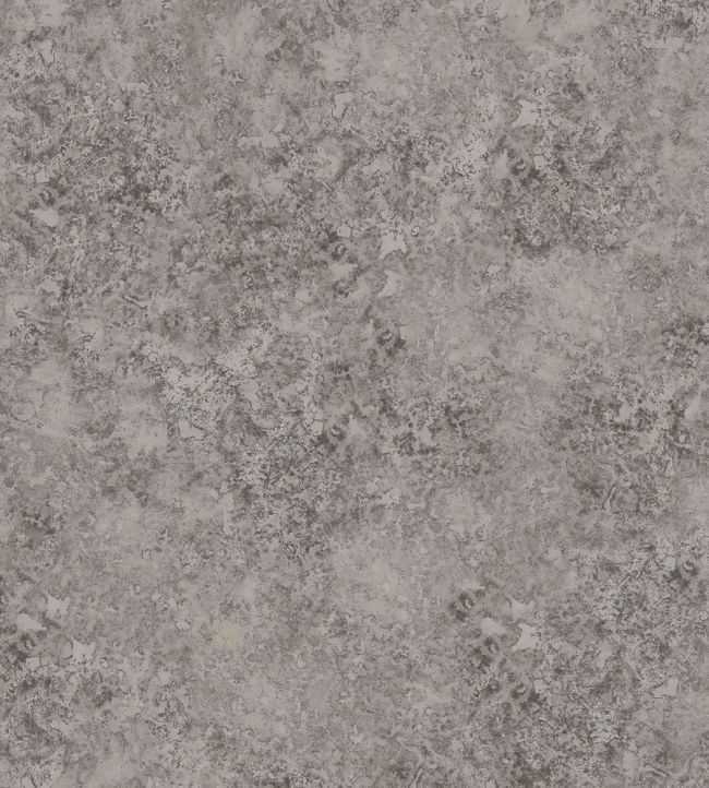 Patina Haze Wallpaper by Cole & Son Taupe