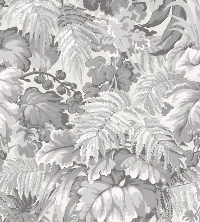 Royal Fernery Wallpaper by Cole & Son Warm Grey