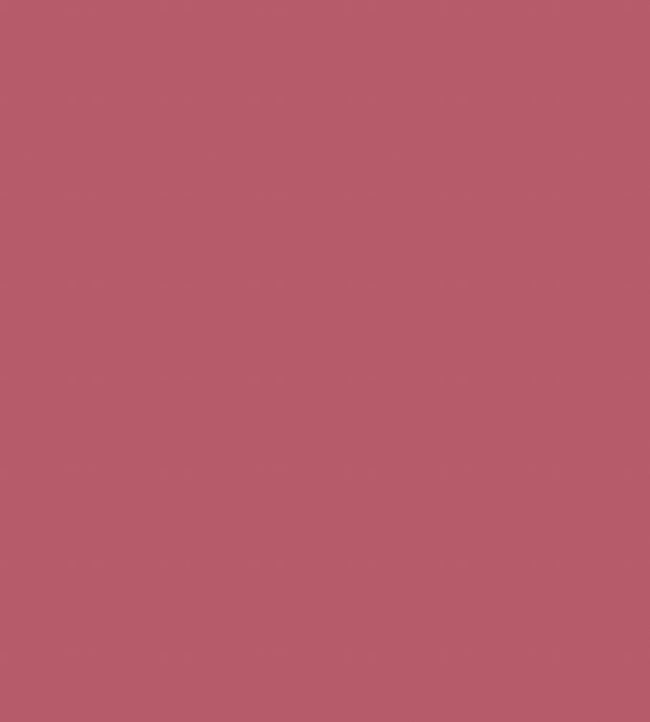 Colour Box Velvet Fabric by Cole & Son Rose