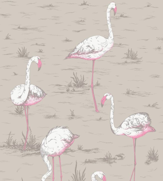 Flamingos Fabric by Cole & Son White & Fuchsia on Taupe