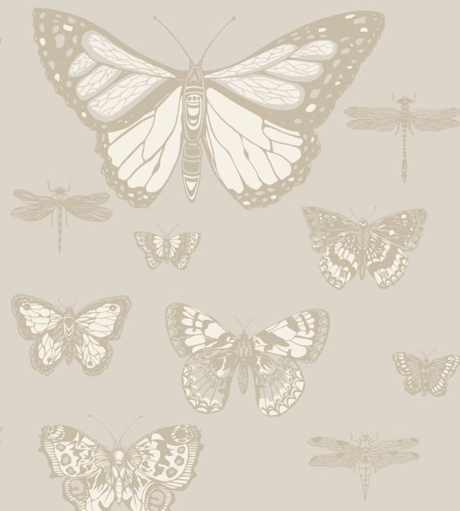 Butterflies & Dragonflies Wallpaper by Cole & Son Grey