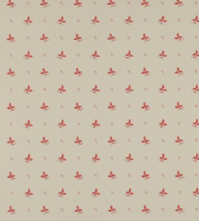 Ashling Wallpaper by Colefax and Fowler Pink