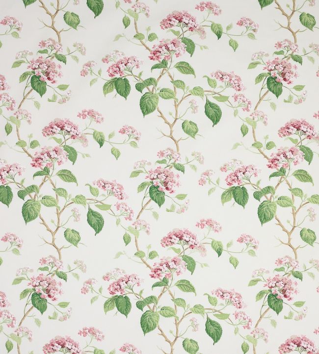 Summerby Cotton Fabric by Colefax and Fowler Pink/Green