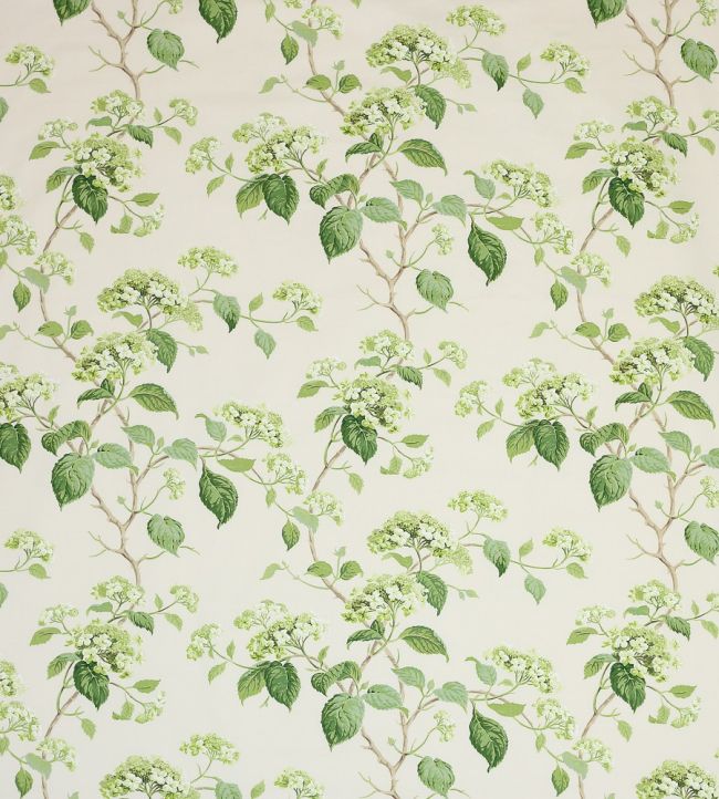 Summerby Cotton Fabric by Colefax and Fowler Leaf Green