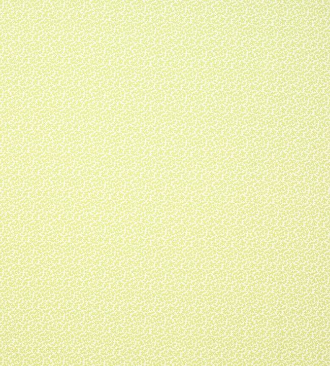 Seaweed Fabric by Colefax and Fowler Leaf