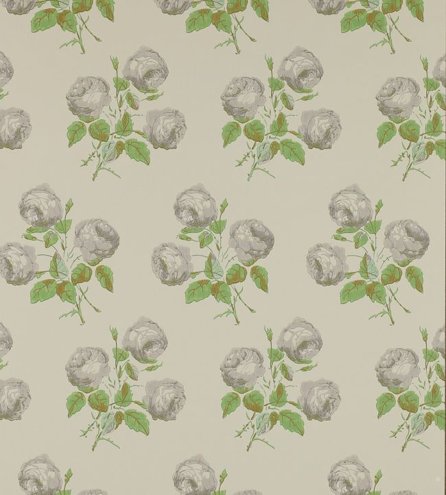 Bowood Wallpaper by Colefax and Fowler Grey/Green