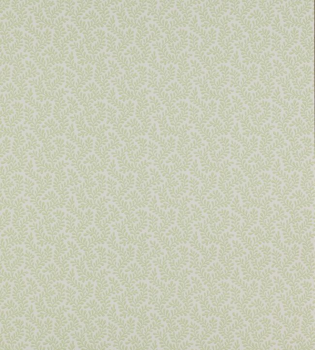 Rushmere Wallpaper by Colefax and Fowler Leaf