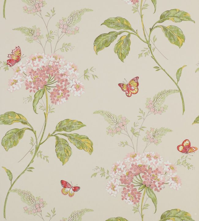 Messina Wallpaper by Colefax and Fowler Pink/Green